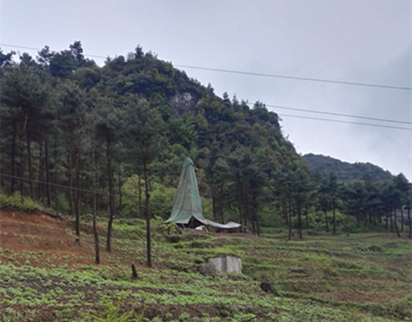 把脈“黔”鋅地，問(wèn)診開(kāi)良方